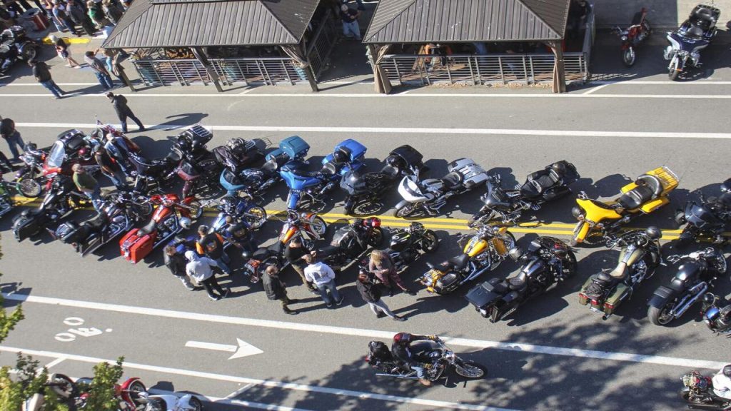 Oyster Run Anacortes, Washington Join the Journey!