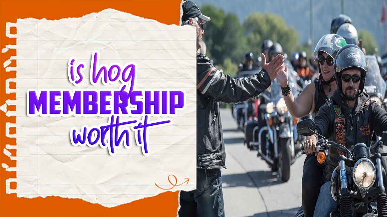 Hog Membership Worth It What You Need To Know