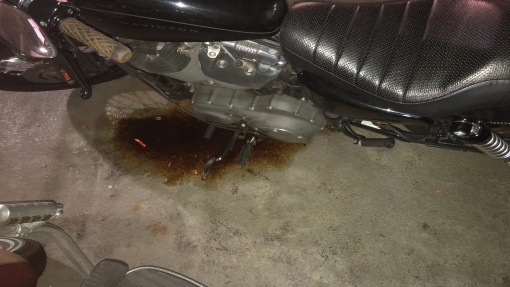 Harley Davidson Sportster 1200 Probleme