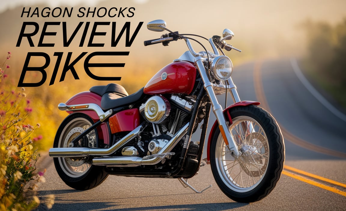 Hagon Shocks Review