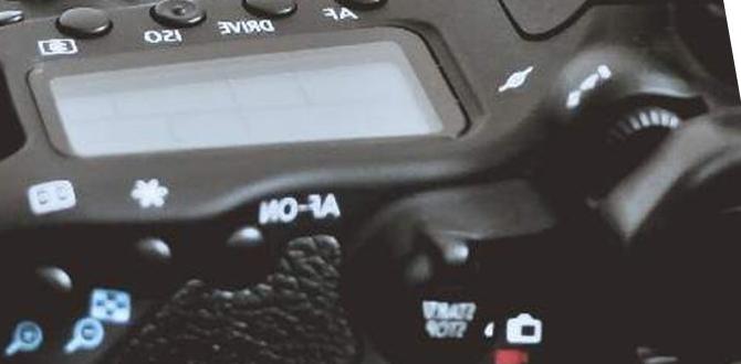 affordable camera affordable camera