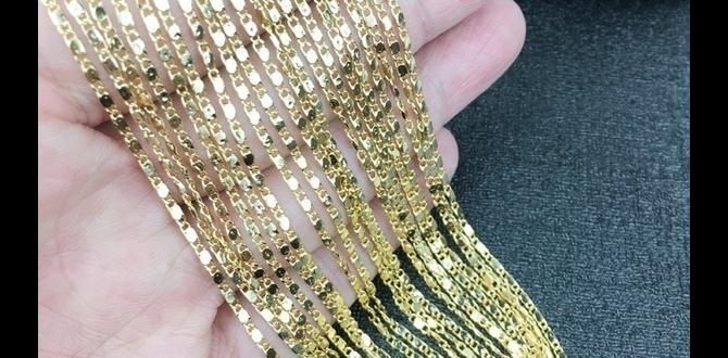 affordable chain
