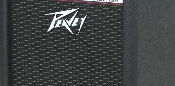 amp for harley davidson amp for harley davidson