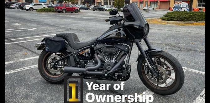 best beginner harley davidson bike best beginner harley davidson bike