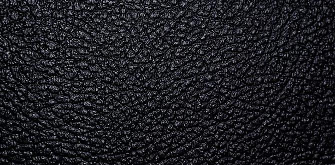 black spoke wheels for harley davidson black spoke wheels for harley davidson