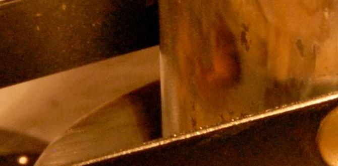 budget lights budget lights