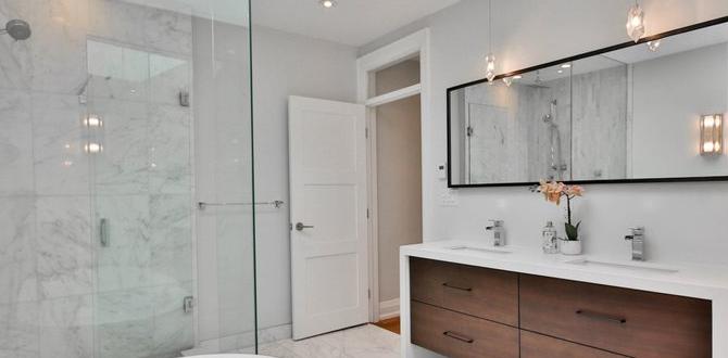 budget mirror budget mirror