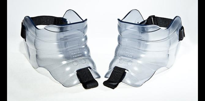 compact fenders