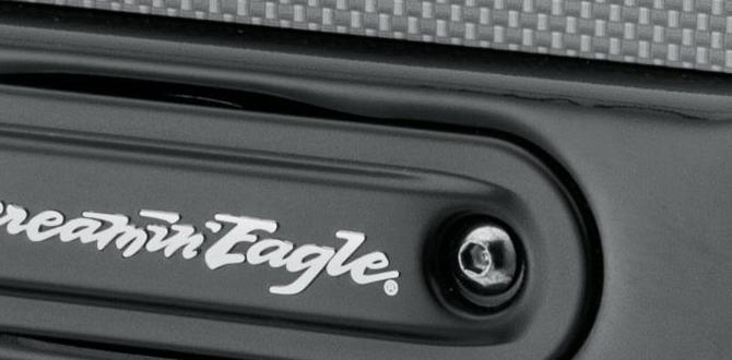 custom air cleaner for harley davidson custom air cleaner for harley davidson