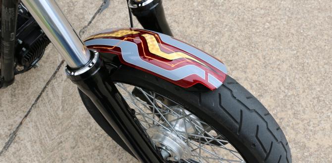 custom fenders custom fenders