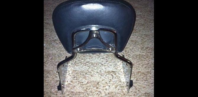 detachable backrest for harley davidson detachable backrest for harley davidson