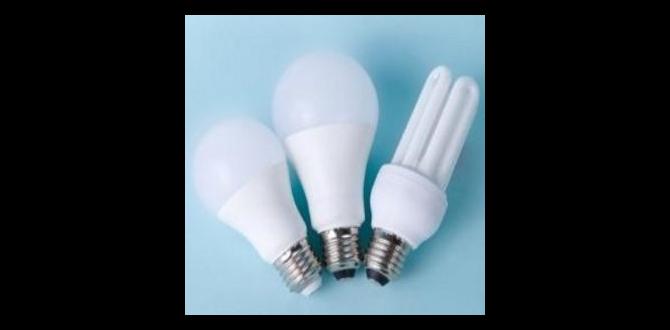 durable lights durable lights