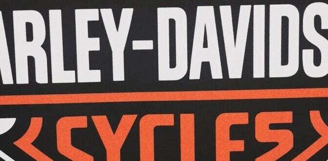 harley davidson decorations for a party harley davidson decorations for a party