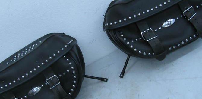 harley davidson leather saddlebags for softail harley davidson leather saddlebags for softail