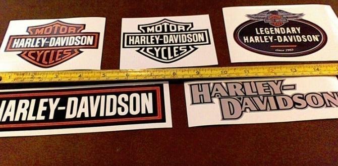 harley davidson stickers for cars harley davidson stickers for cars