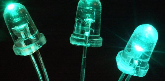 led mudguard led mudguard