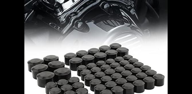 magnetic bolt covers for harley davidson magnetic bolt covers for harley davidson