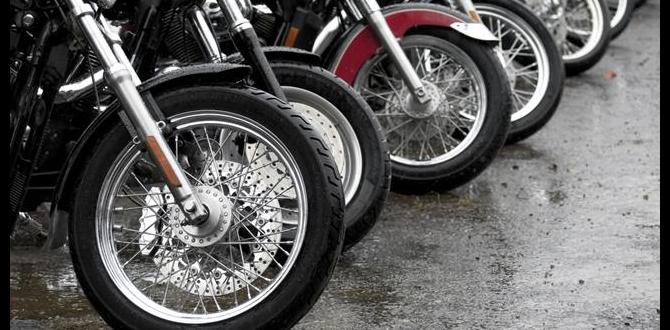 motorcycle jack for harley davidson motorcycle jack for harley davidson