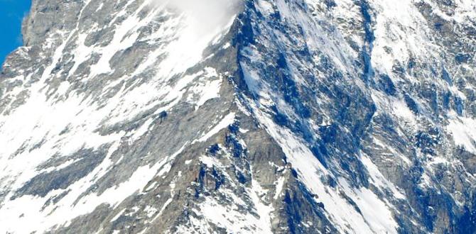 mountain bike fenders