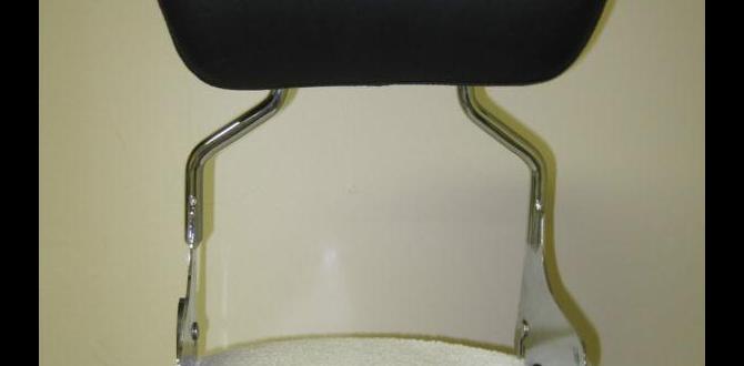 passenger backrest for harley davidson passenger backrest for harley davidson