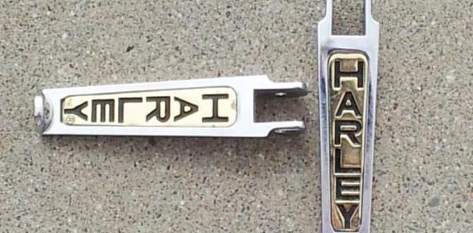 passenger foot pegs for harley davidson passenger foot pegs for harley davidson