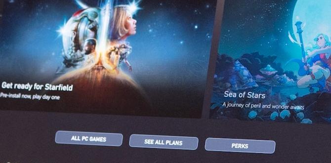 portable bike trailer portable bike trailer