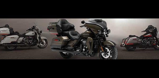 rear shocks for harley davidson rear shocks for harley davidson