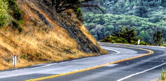road bike trainer road bike trainer