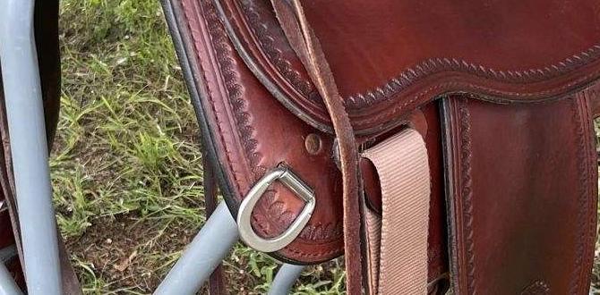 saddle bag organizer for harley davidson saddle bag organizer for harley davidson