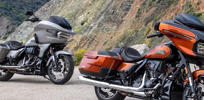 what does cvo mean for harley davidson what does cvo mean for harley davidson