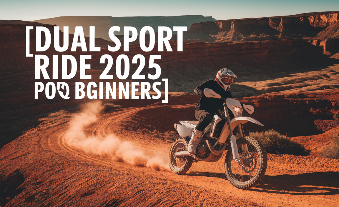 Dual Sport Ride 2025 Usa For Beginners