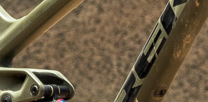 bike show Australia events night ride bike show Australia events night ride