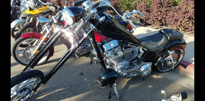 biker festival near California for beginners biker festival near California for beginners