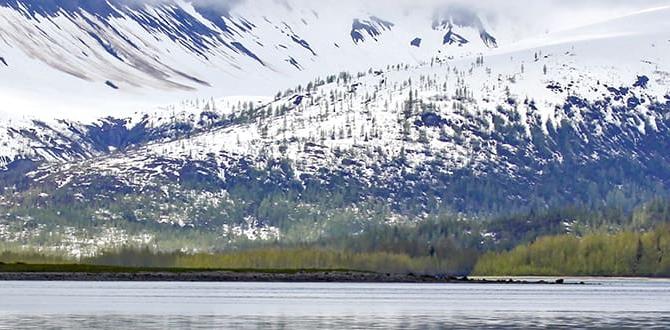 cruiser rally Alaska adventure for beginners cruiser rally Alaska adventure for beginners