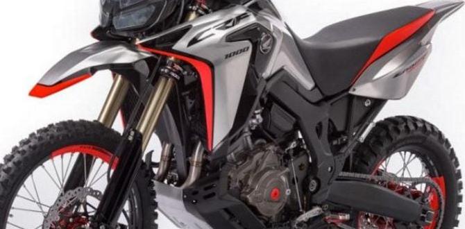 dual sport ride Europe 2025 2025 schedule