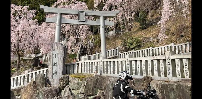touring bike event Japan custom show with camping