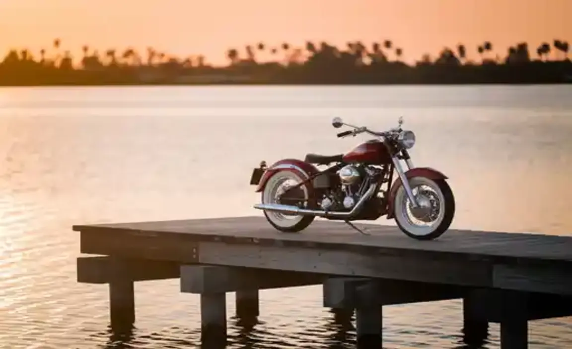 Cruiser Rally Florida Schedule Near Me What To Expect