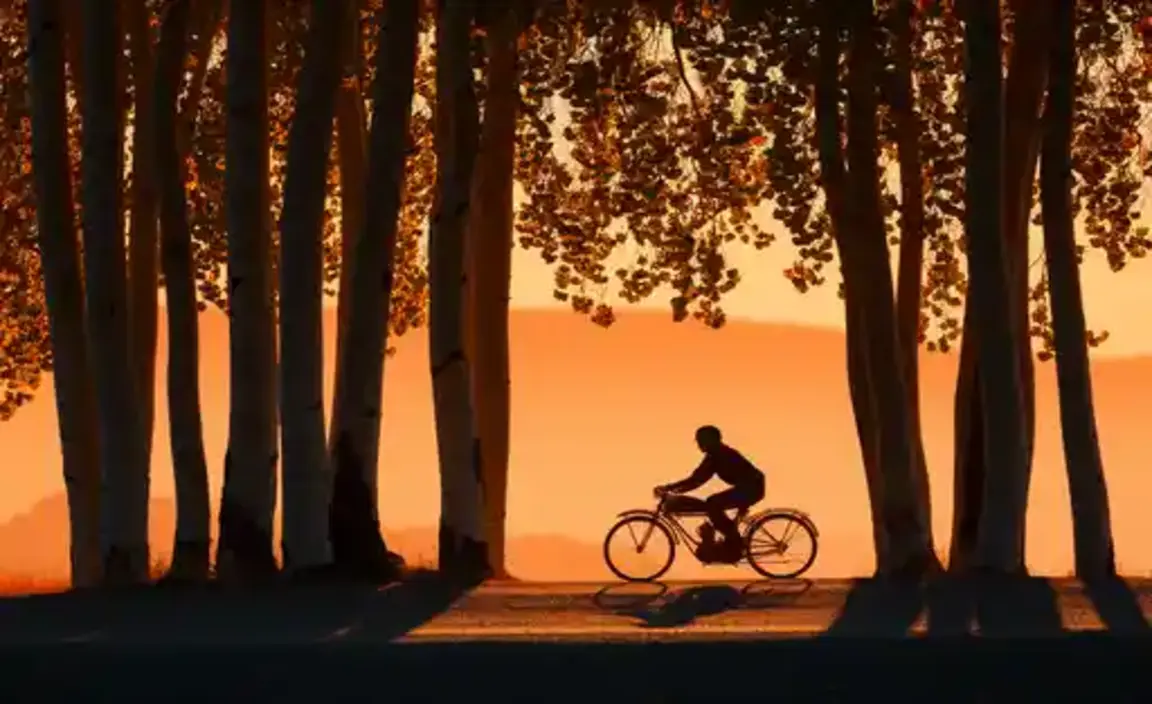 Essential Gear for a Sunset Ride