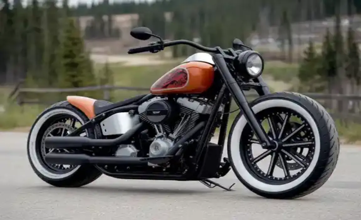 Significant Custom Bike Competitions in Canada