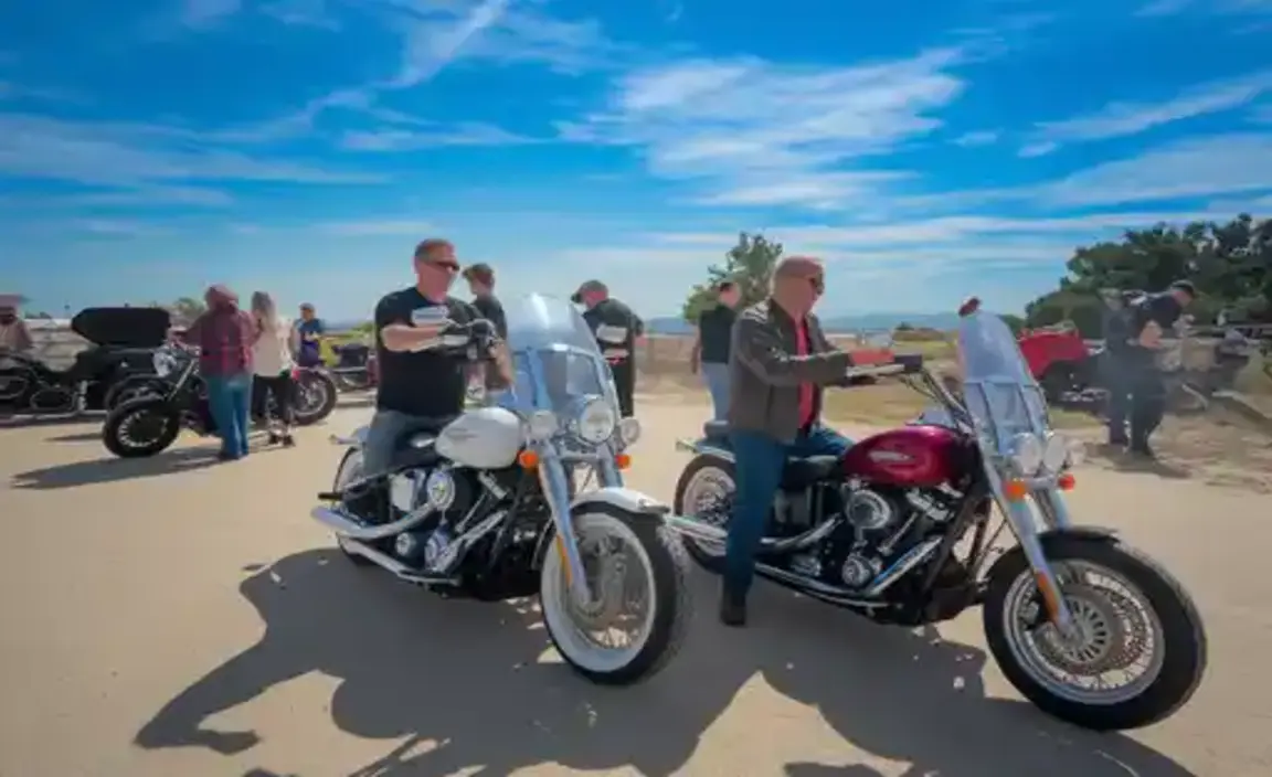 Strategies for Attending Biker BBQs